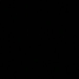 Meet your Posher, Hayley